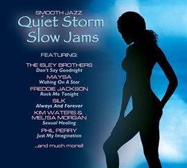 Cover image for Quiet Storm Slow Jams