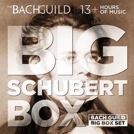 Cover image for Big Schubert Box