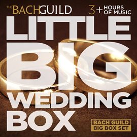 Cover image for Little Big Wedding Box