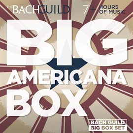 Cover image for Big Americana Box