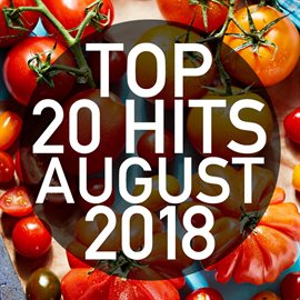 Cover image for Top 20 Hits August 2018 (Instrumental)