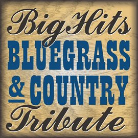 Cover image for Big Hits Country & Bluegrass Tribute