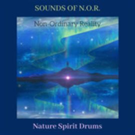 Cover image for Sounds Of Non-Ordinary Reality (N.O.R)