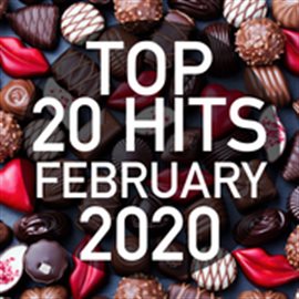 Cover image for Top 20 Hits February 2020