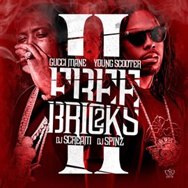 Cover image for Free Bricks 2