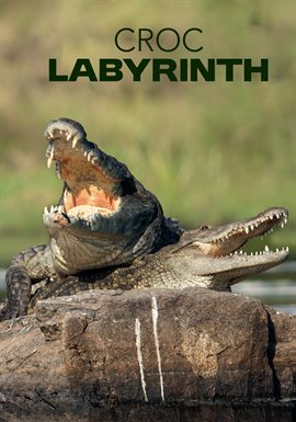 Croc Labyrinth
