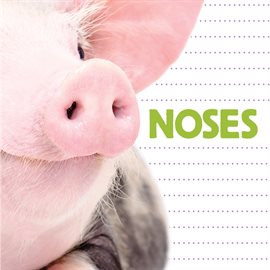 Cover image for Noses