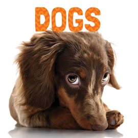 Imagen de portada para Dogs