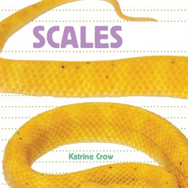 Cover image for Scales