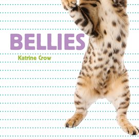 Cover image for Bellies