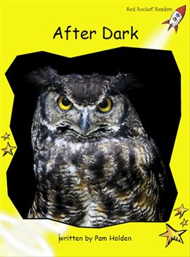 Cover image for After Dark