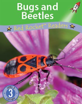 Cover image for Bugs and Beetles