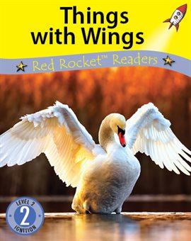 Cover image for Things with Wings