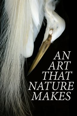 Cover image for An Art That Nature Makes: The Work of Rosamond Purcell