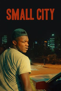 Cover image for Small City