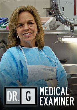 Cover image for Needle in the Haystack