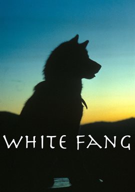 Cover image for Fangs for the Memories