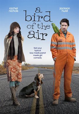 Cover image for A Bird of the Air