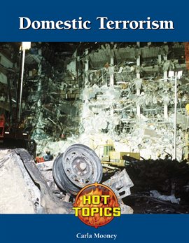 Cover image for Domestic Terrorism