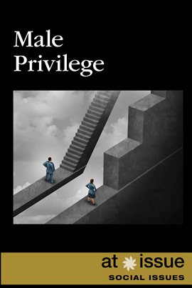 Imagen de portada para Male Privilege