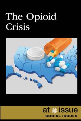 Cover image for The Opioid Crisis