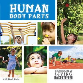 Cover image for Human Body Parts