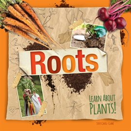 Cover image for Roots