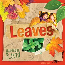 Cover image for Leaves