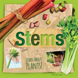 Cover image for Stems