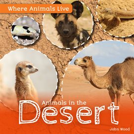 Cover image for Animals in the Desert
