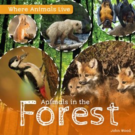 Cover image for Animals in the Forest