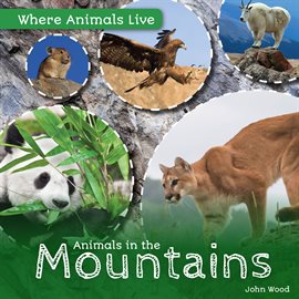 Cover image for Animals in the Mountains