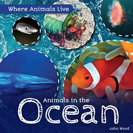 Cover image for Animals in the Ocean