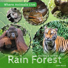 Cover image for Animals in the Rain Forest