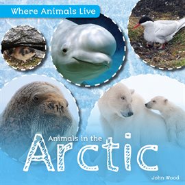Cover image for Animals in the Arctic