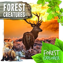 Imagen de portada para Forest Creatures