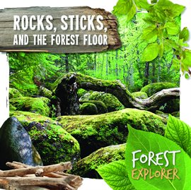 Cover image for Rocks, Sticks, and the Forest Floor