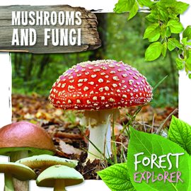 Cover image for Mushrooms and Fungi