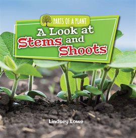 Imagen de portada para A Look at Stems and Shoots