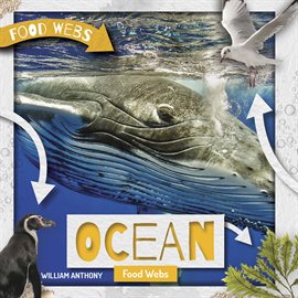 Cover image for Ocean Food Webs