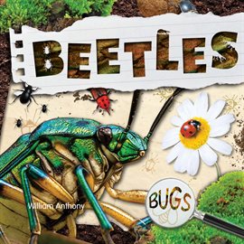 Imagen de portada para Beetles