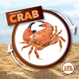 Cover image for Life Cycle of a Crab