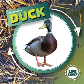Cover image for Life Cycle of a Duck