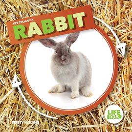 Cover image for Life Cycle of a Rabbit