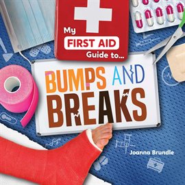 Cover image for Bumps and Breaks