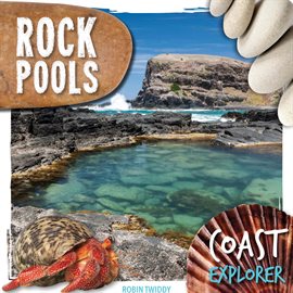 Cover image for Rock Pools