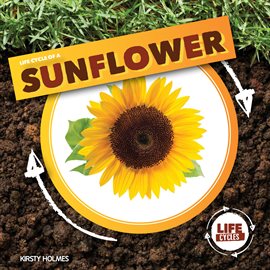 Cover image for Life Cycle of a Sunflower