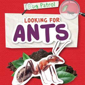 Cover image for Looking for Ants