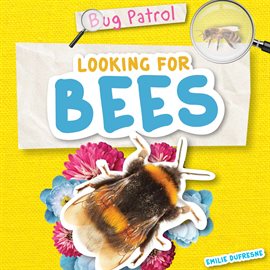 Cover image for Looking for Bees