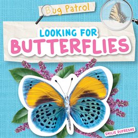 Cover image for Looking for Butterflies